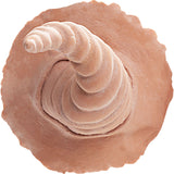 Kryolan Latex Horns Sylph  02525/05