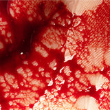 Pintura Fake Blood 20ml 86410/00
