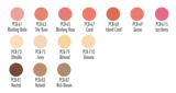 Ben Nye Procolor Blush 29ml