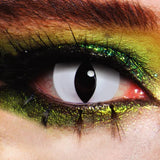 MesmerEyez 1 Day Halloween Contact Lenses