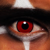 MesmerEyez 1 Year Halloween Contact Lenses