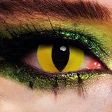 MesmerEyez 1 Year Halloween Contact Lenses