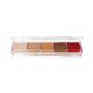 Ben Nye Tattoo Cover Palette 5 colour