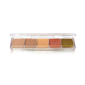 Ben Nye Concealer and Adjuster Alcohol palette